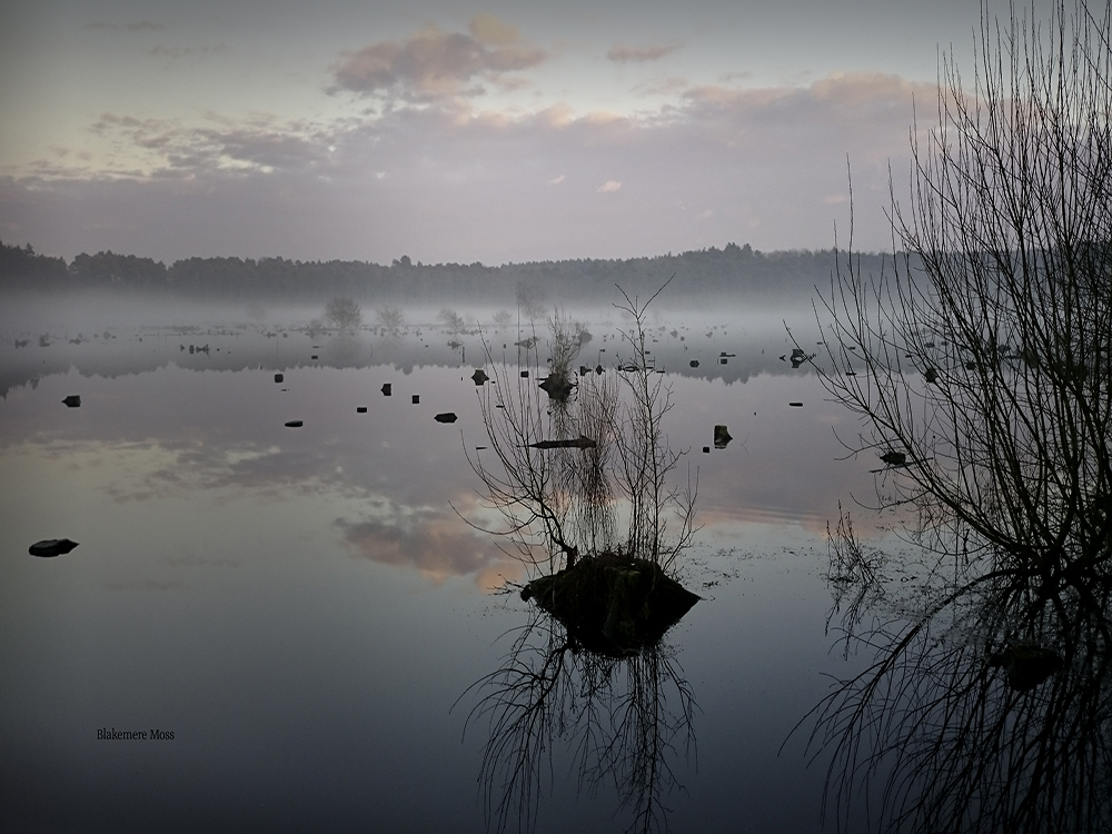 Blakemere Moss, Cheshire